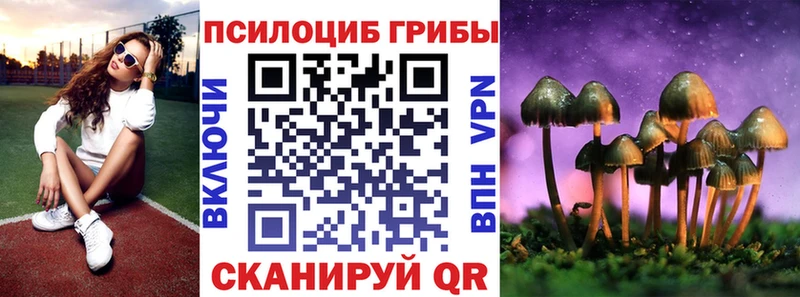 Галлюциногенные грибы Cubensis  кракен как зайти  Билибино 